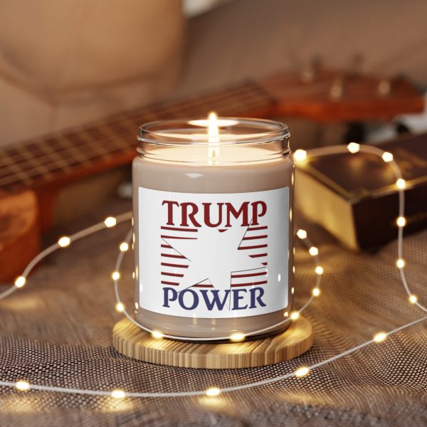Scented Soy Candle 9oz - TRUMP POWER - Image 18