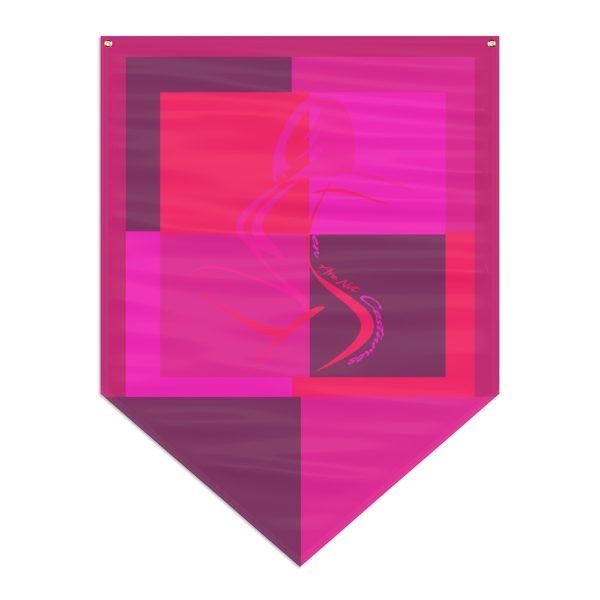 Pennant Banner - Women Are Not Costumes (Multi Pinks and Purple BG) - Image 2