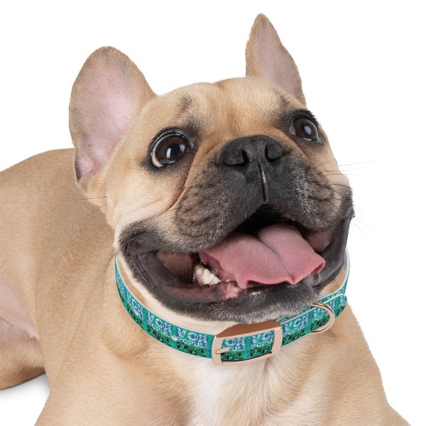 Dog Collar - VOX POPULI Square Logo - Multi Turquoise BG - Image 12